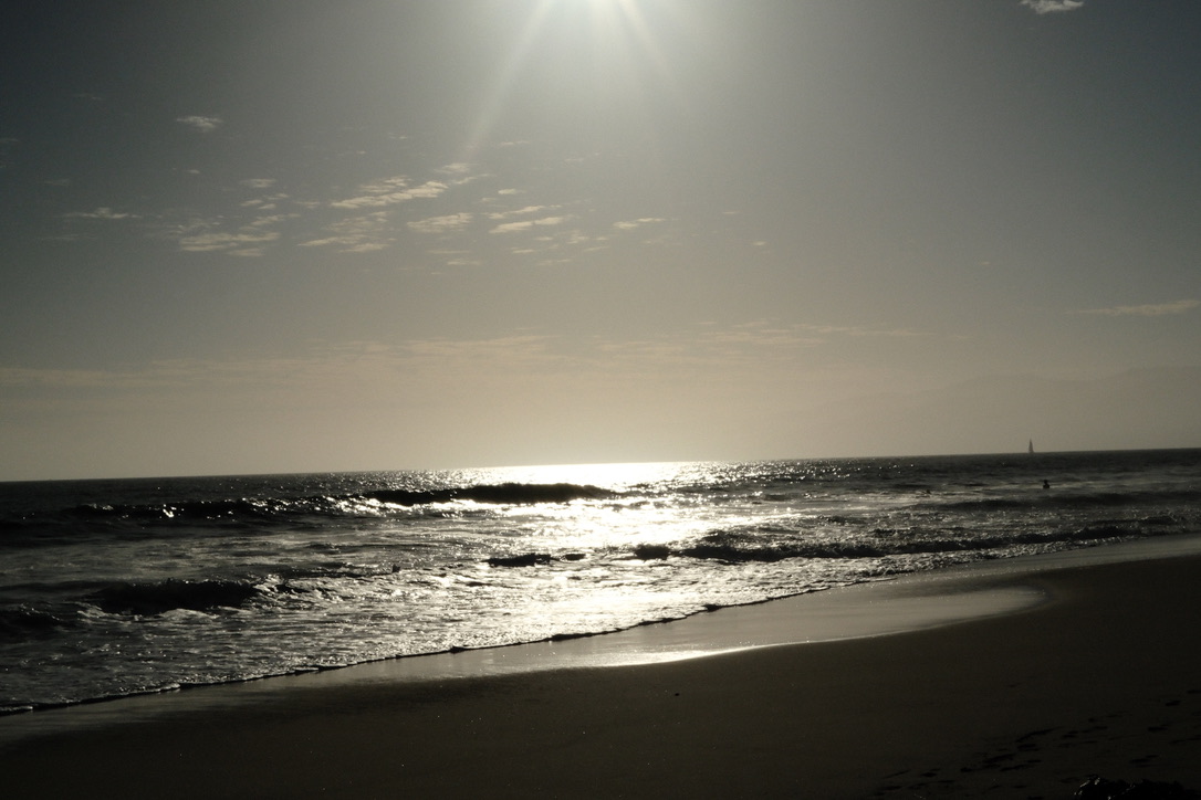 Photography 5